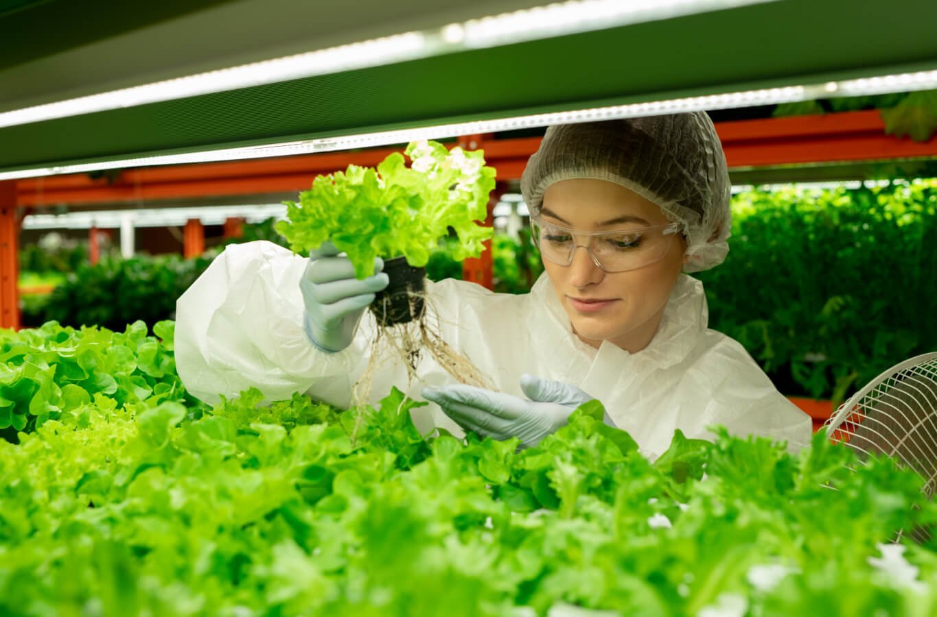 Impacto de la Tecnología en el Desarrollo Agrícola